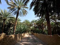 Oásis de Al Ain