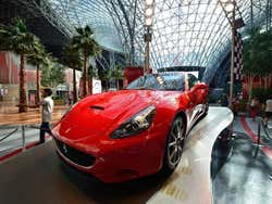 Ferrari World, Ferrari de exposição
