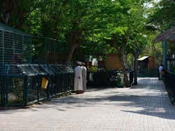 Zoológico de Dubai