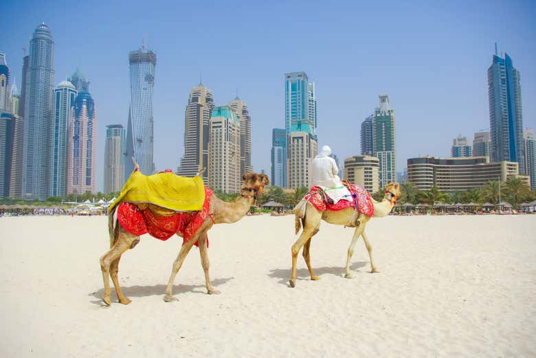 Contrastes de Dubai