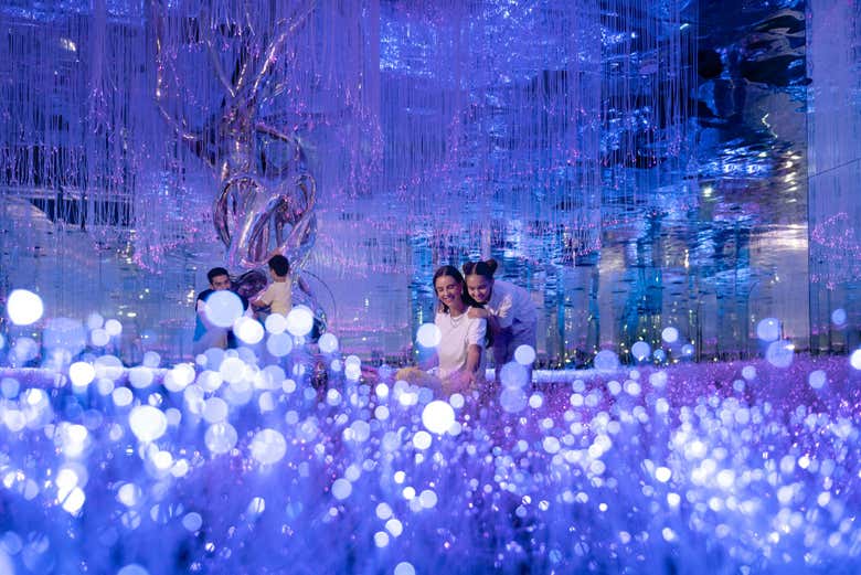 La piscina di palline