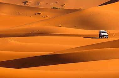 Safári pelo deserto