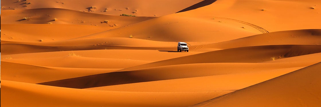 Safari dans le désert