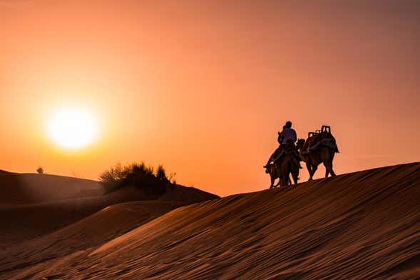 Paseo en camello por el desierto
