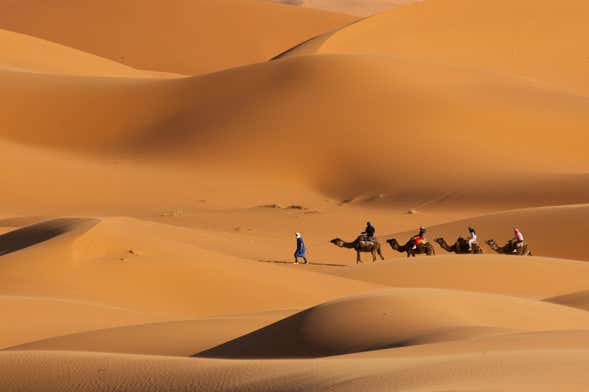 Passeio de camelo pelo deserto com jantar e espetáculo