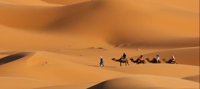 Passeio de camelo pelo deserto com jantar e espetáculo