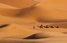 Paseo en camello por el desierto con cena y espectáculo