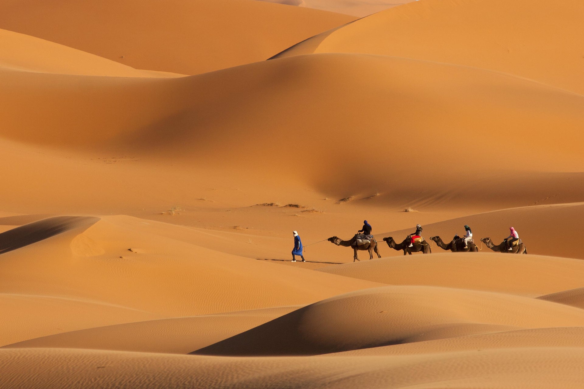 Balade en chameau dans le désert avec dîner-spectacle