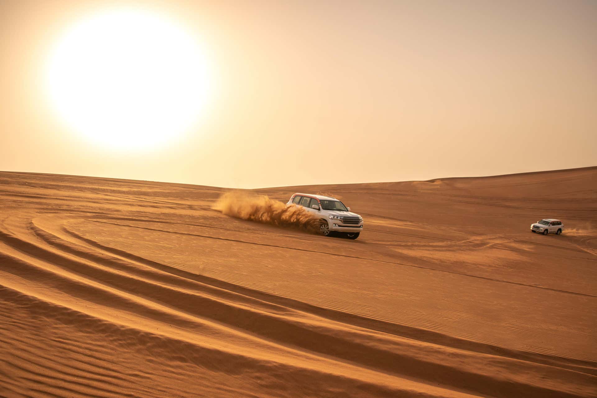 Safári de luxo e noite no deserto