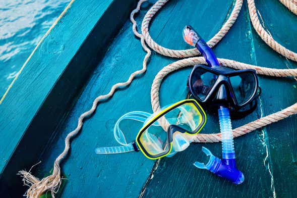 Dibba Al-Fujairah Snorkelling Tour
