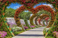 Transporte y entrada al Jardín del Milagro