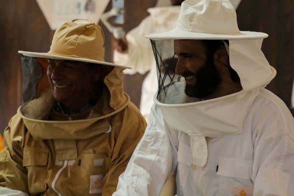 Ticket to Hatta Honey Bee Discovery Centre