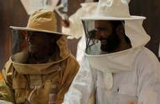 Biglietti per Hatta Honey Bee Discovery Centre