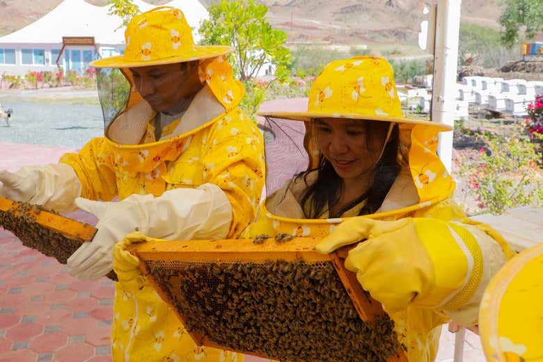 Become a beekeeper for the day!