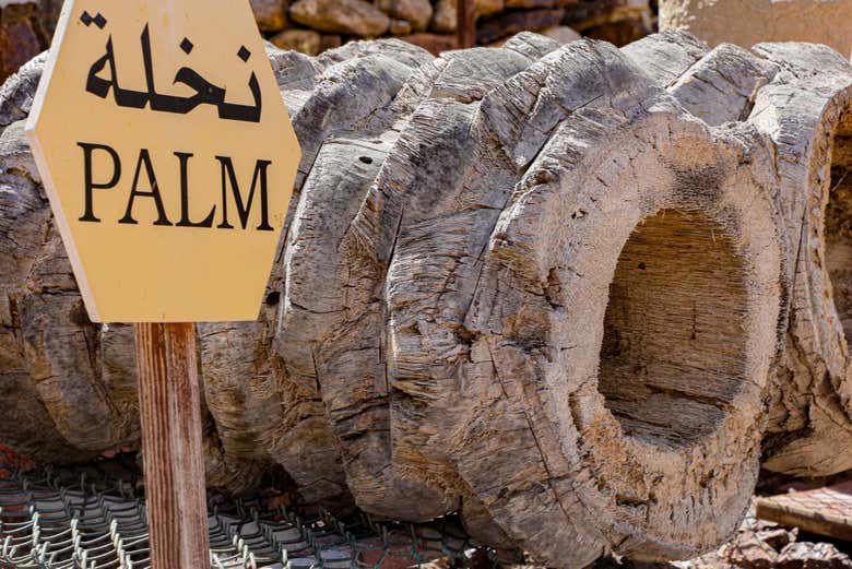 Tronc de palmier au Hatta Honey Bee Discovery Centre