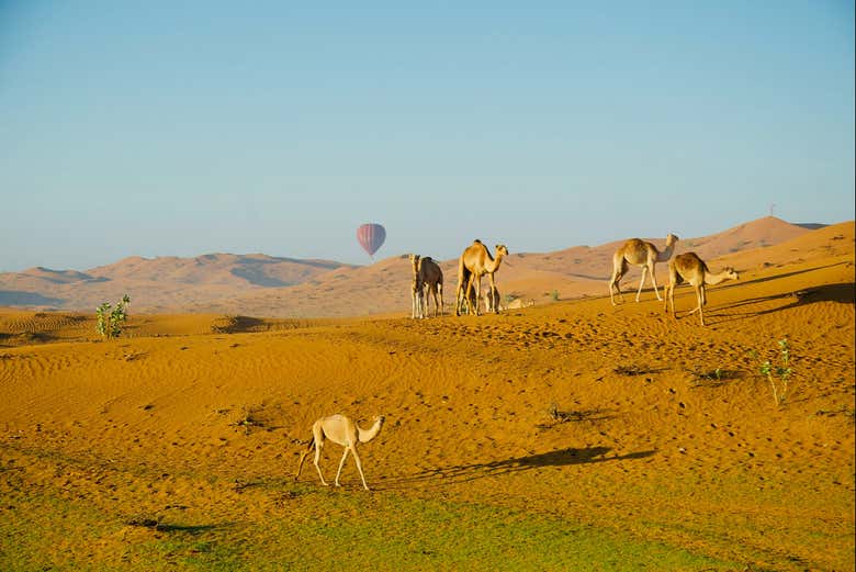 Paisagens do deserto de Ras al Khaimah