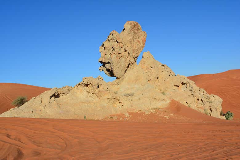 Fóssil Rock