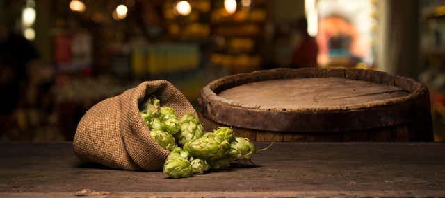 Bratislava Craft Beer Tasting