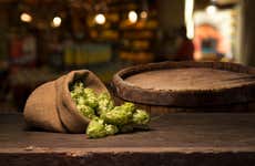 Dégustation de bière artisanale