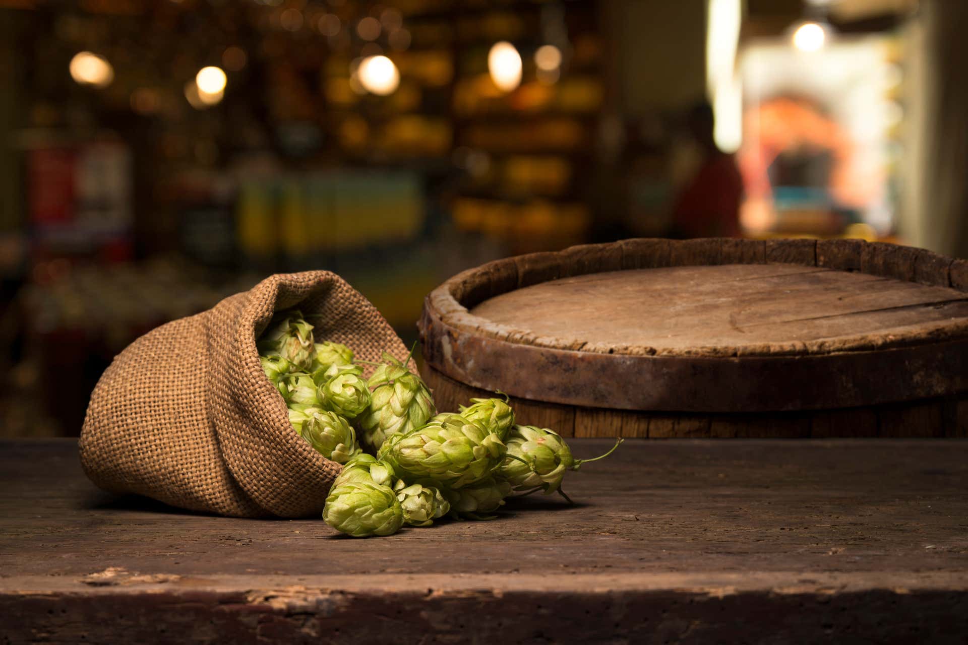 Degustazione di birra artigianale