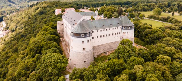 Tour del vino e castello di Červený Kameň