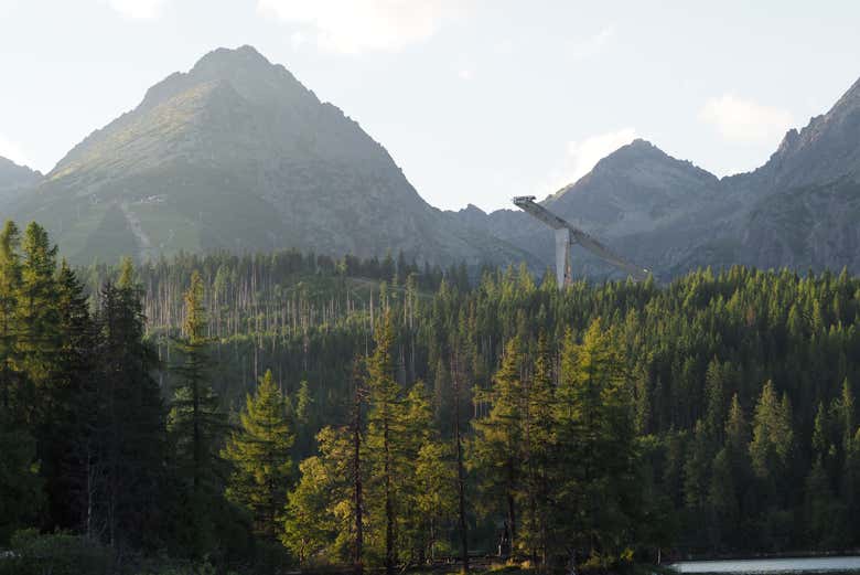La belleza del lago Štrbské Pleso, rodeado de bosques