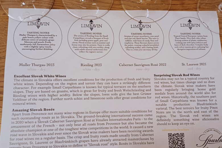 Aprenderéis todo sobre los vinos de Bratislava