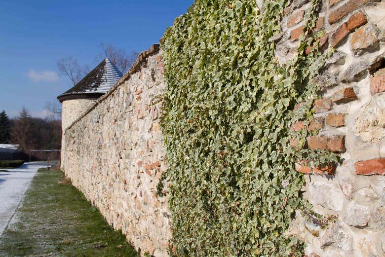 Muros del castillo Červený Kameň