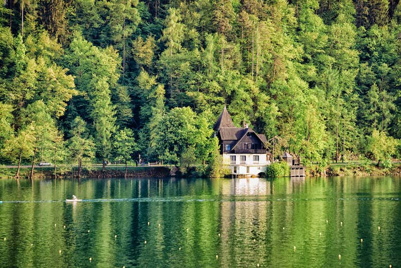 Admire Lake Bled