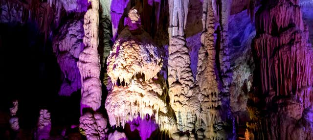 Postojna Cave + Predjama Castle Tour