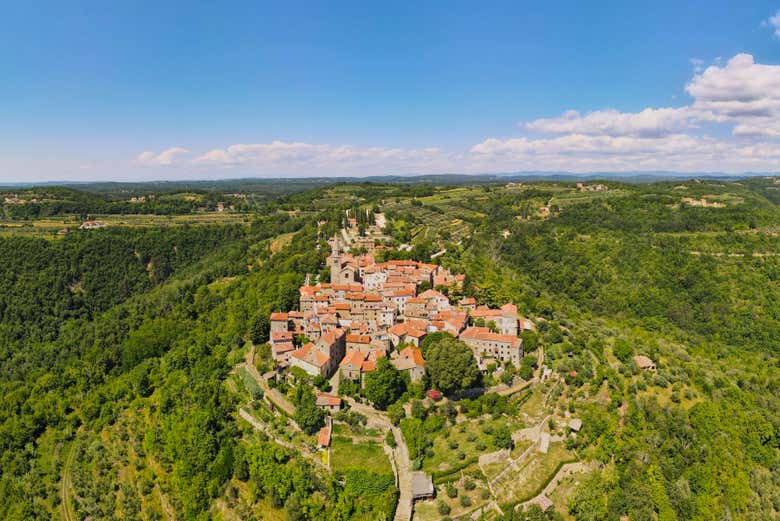 Grisignana