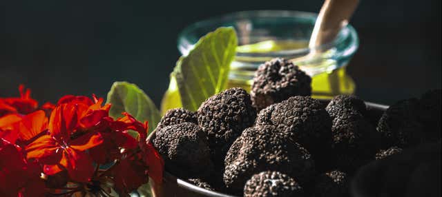Food Tour of Istria