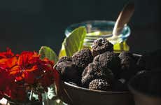 Visite gastronomique d'Istrie