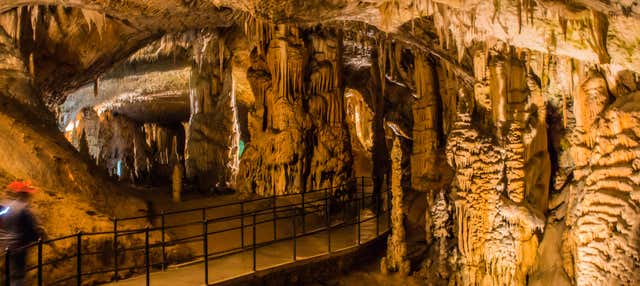 Excursión a la cueva Postojna y castillo de Predjama