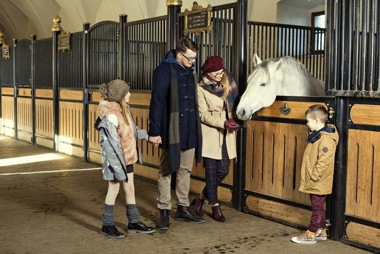 Familia visitando la granja de caballos