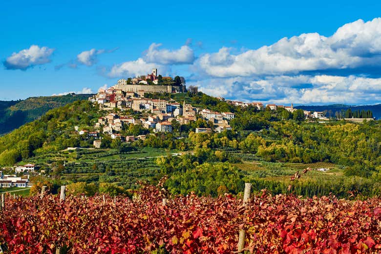 Motovun