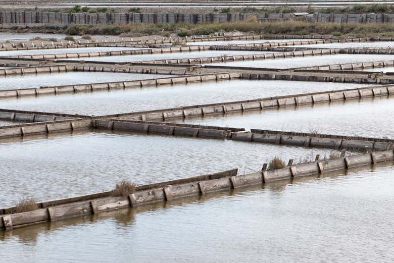 Les salines