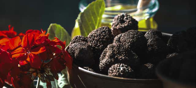 Tour gastronómico por Istria