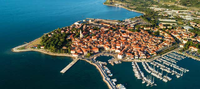 Tour por la Riviera eslovena