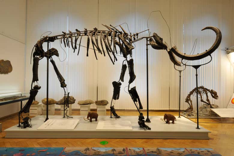 The inside of the Natural History Museum