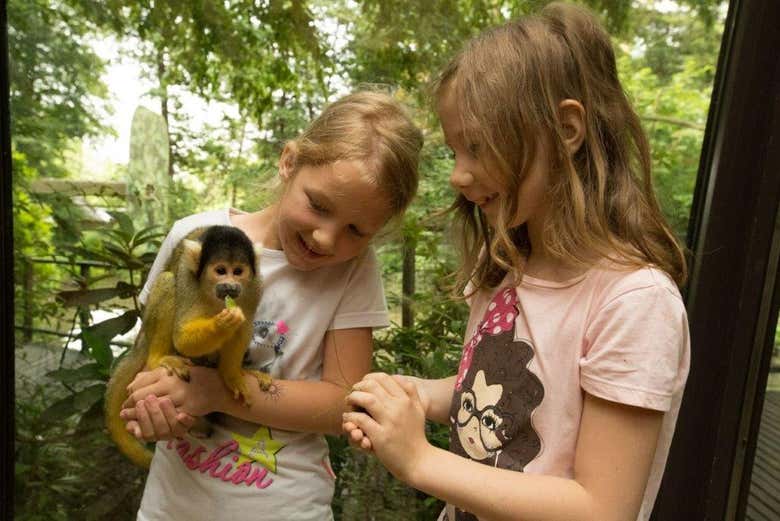 Visiting Ljubljana zoo