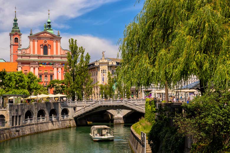 You'll love this boat tour!