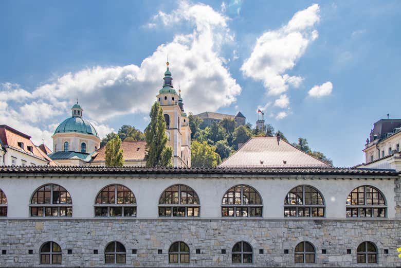 Ponte dei Macellai a Lubiana
