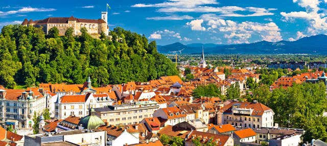 Visite privée dans Ljubljana