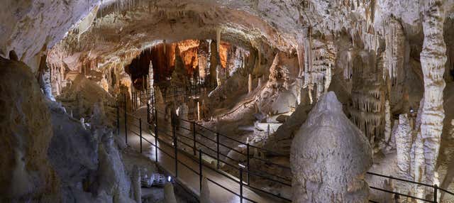 Postojna Cave & Predjama Castle Day Trip