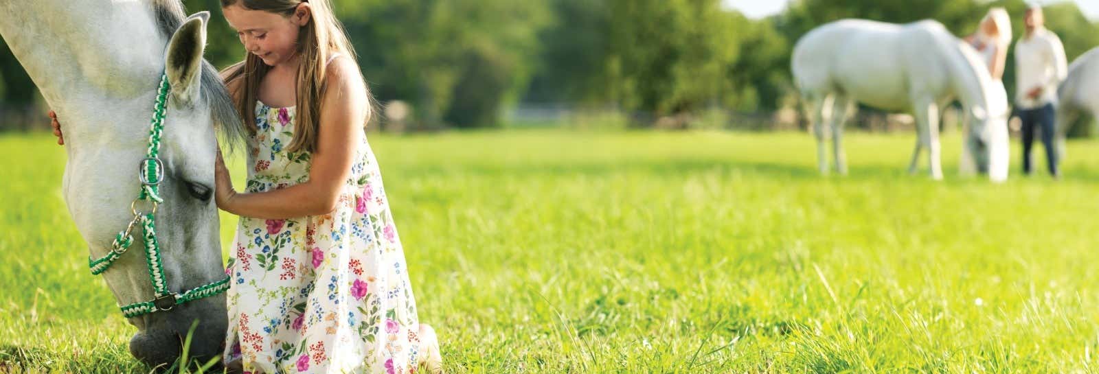 Excursiones de un día en Portorož