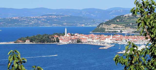 Piran & Izola Tour