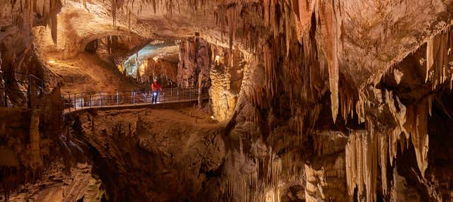 Postojna Cave & Predjama Castle Half Day Tour