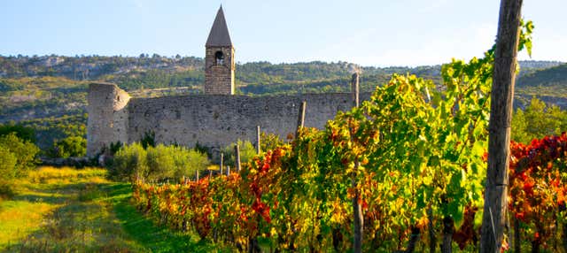 Excursão a Socerb, Hrastovlje e Marezige