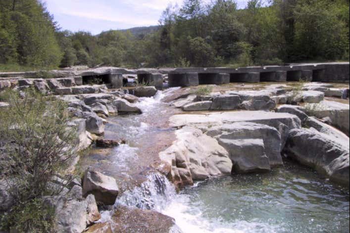 Scorcio del fiume Dragogna